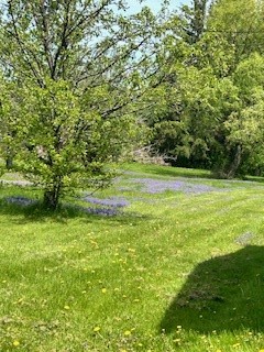 58 Catlin Hill Road Catlin, NY 14812 - Photo 23 of 23 Back Lawn