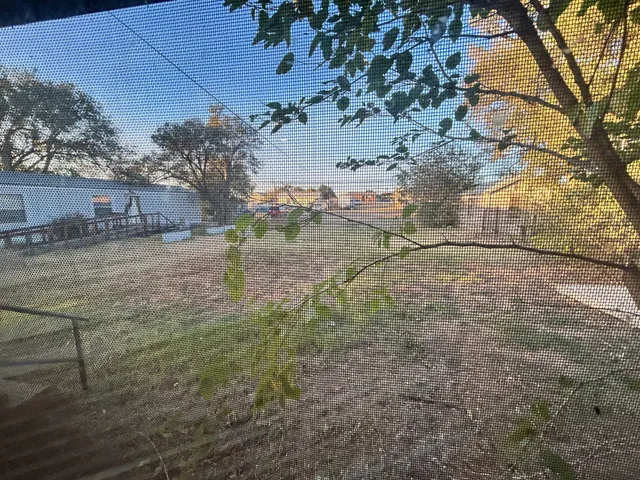 $1,000 | 806 Jackson Street, Borger, TX 79007