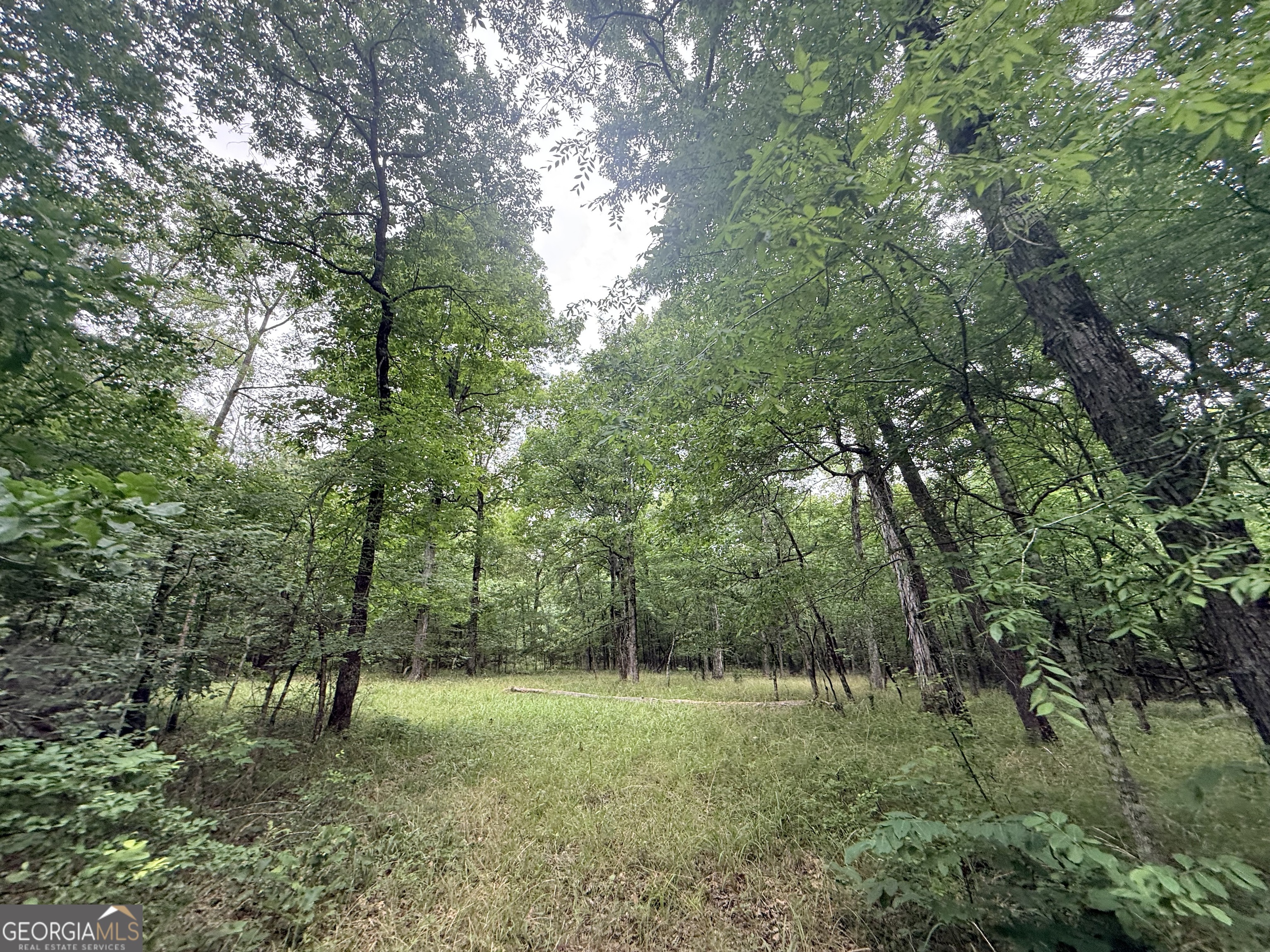 1 Bethesda Church Road Lexington, GA 30648 - Photo 21 of 78