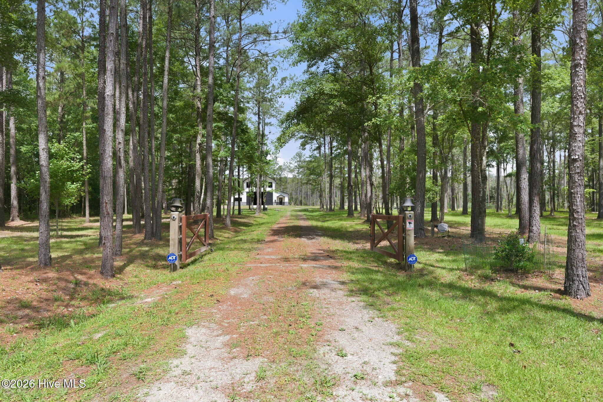 407 Point Of View Drive Merritt, NC 28556 - Photo 64 of 72 73-web-or-mls-DSC_7795