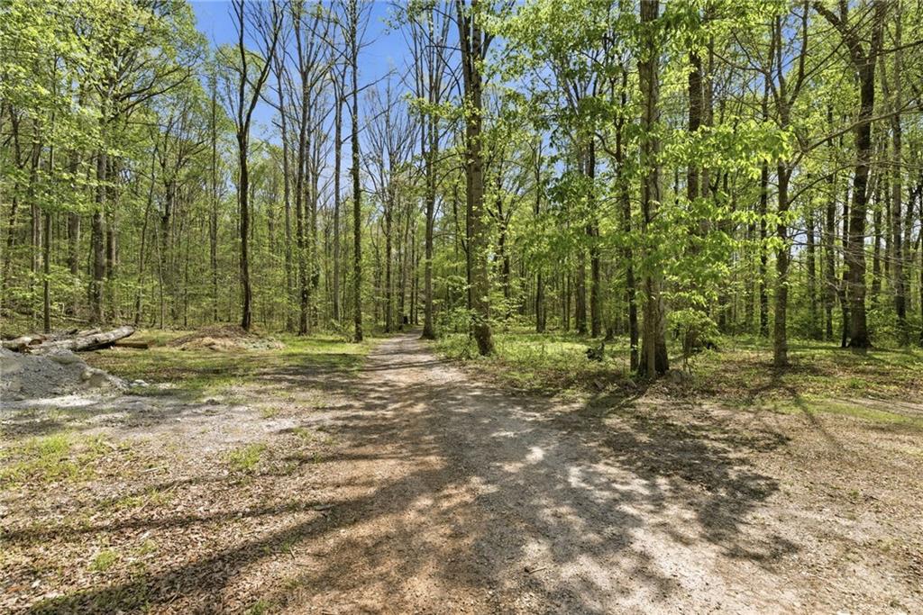 4829 Old Pendergrass Road Jefferson, GA 30549 - Photo 65 of 100