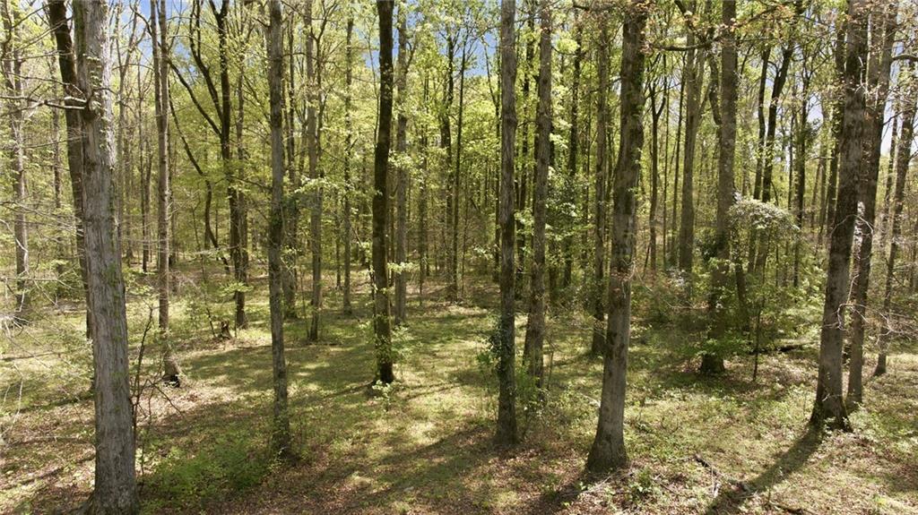 4829 Old Pendergrass Road Jefferson, GA 30549 - Photo 69 of 100