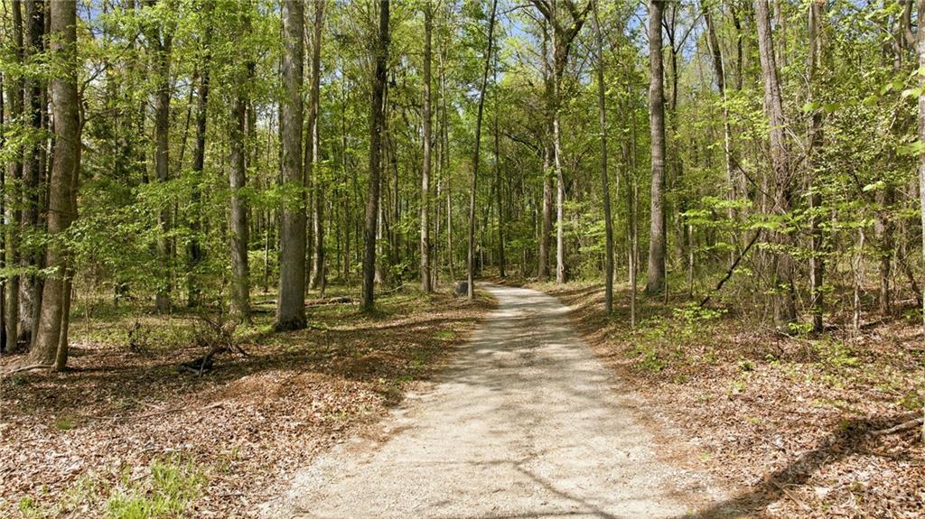 4829 Old Pendergrass Road Jefferson, GA 30549 - Photo 70 of 100