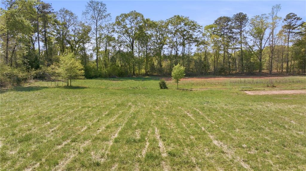 4829 Old Pendergrass Road Jefferson, GA 30549 - Photo 90 of 100