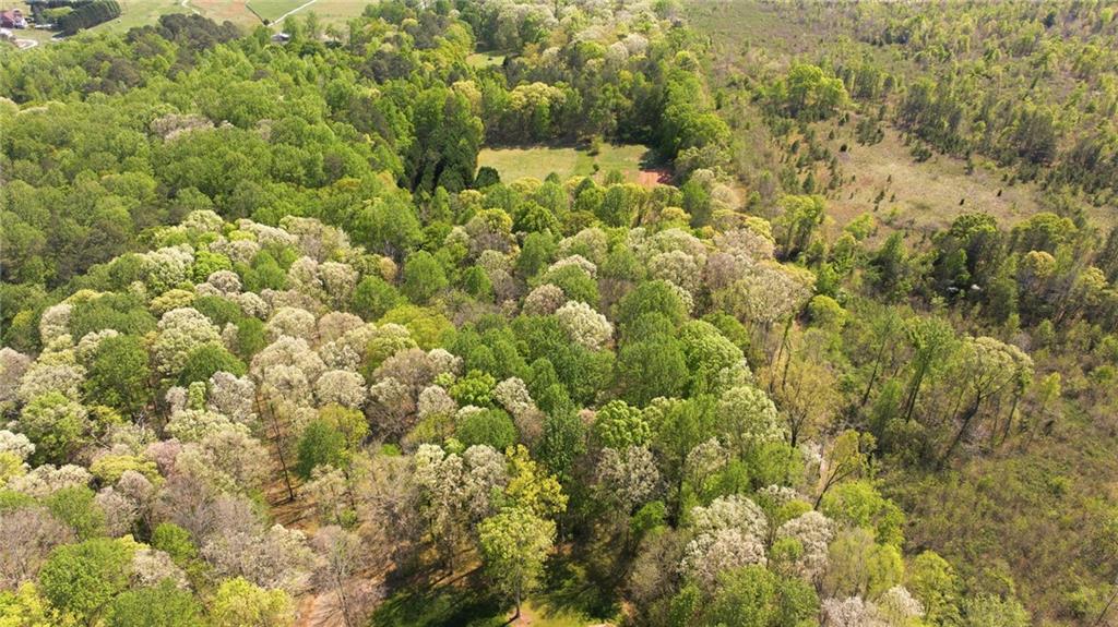 4829 Old Pendergrass Road Jefferson, GA 30549 - Photo 98 of 100