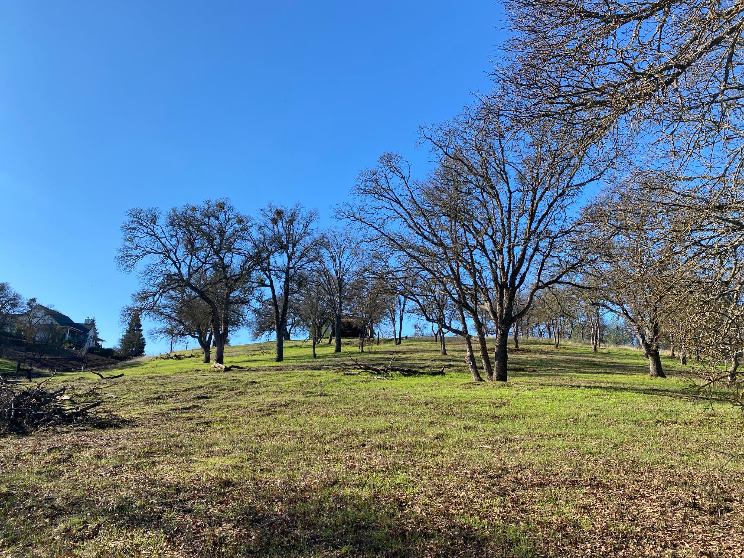 1751 Choctaw Road, Unit 872 Copperopolis, CA 95228 - Photo 3 of 15 Mature Trees. Easy Topography.