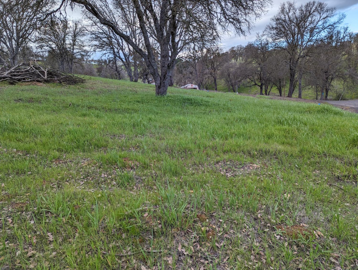 1751 Choctaw Road, Unit 872 Copperopolis, CA 95228 - Photo 5 of 15 Spacious and picturesque Land.