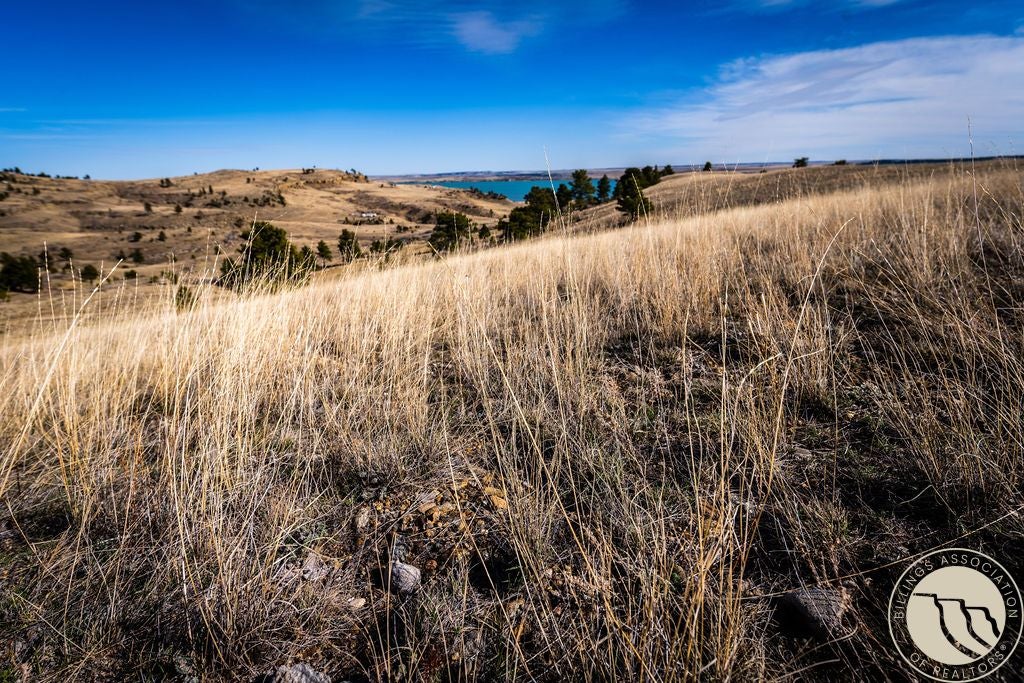 94 (deadman's Basin) Road Shawmut, MT 59078 - Photo 11 of 33 Gallery Image 11