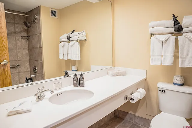 a bathroom with a sink toilet and shower