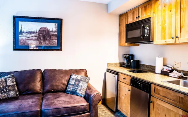 a living room with stainless steel appliances granite countertop a couch a stove top oven a sink and dishwasher