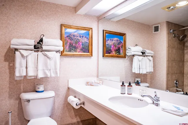 a bathroom with a toilet a sink and mirror