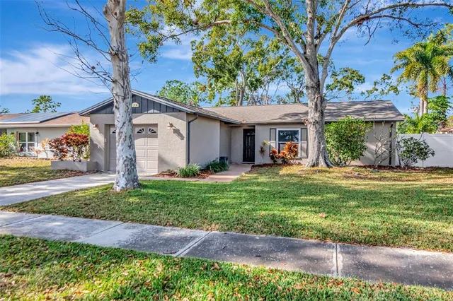 a view of a backyard with a garden and plants
