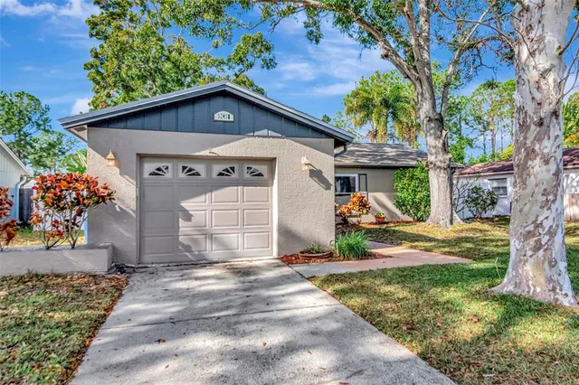 a view of a house with a yard plants and a large tree