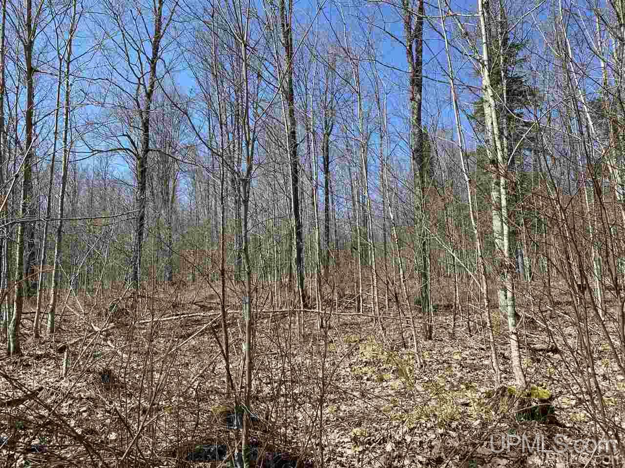 Off Nelson Road Glidden, WI 54527 - Photo 20 of 23