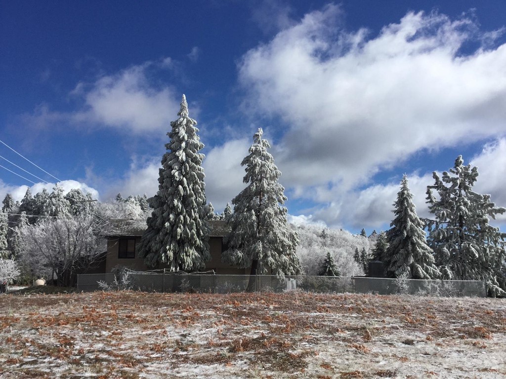 32830 Birch Hill Road Palomar Mountain, CA 92060 - Photo 7 of 11