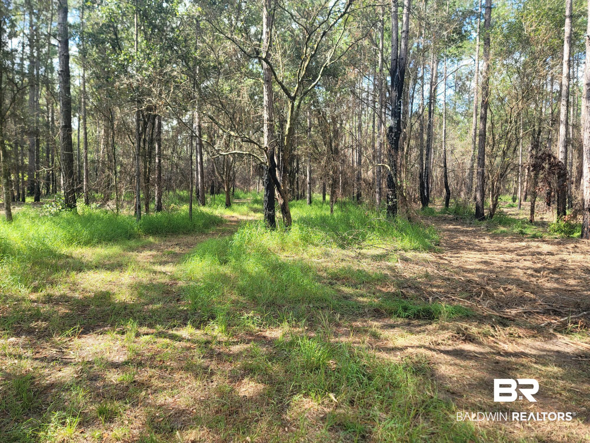 21373 Ima Brill Road Robertsdale, AL 36567 - Photo 19 of 25 Gallery Image 19