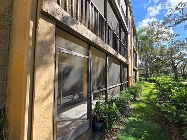 a view of a park with large trees