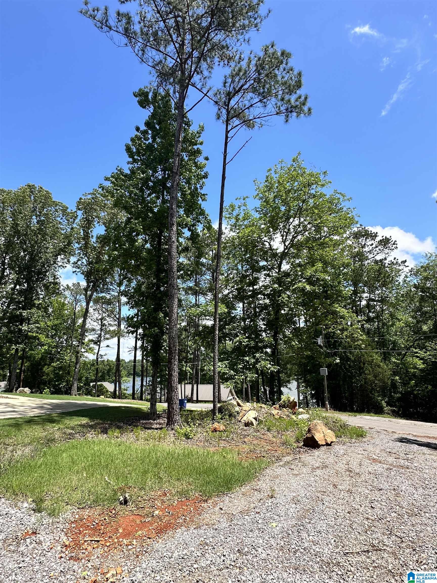 350 Black Acres Road, Unit 11 Cropwell, AL 35054 - Photo 3 of 16
