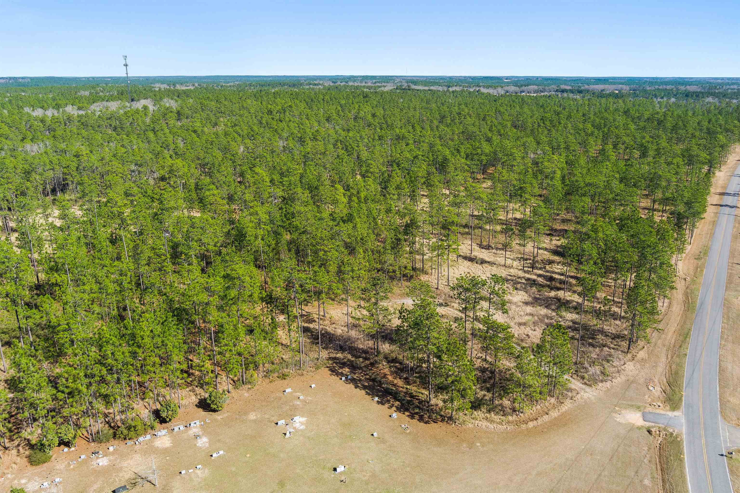 0 Robert White Road Bay Minette, AL 36507 - Photo 12 of 23