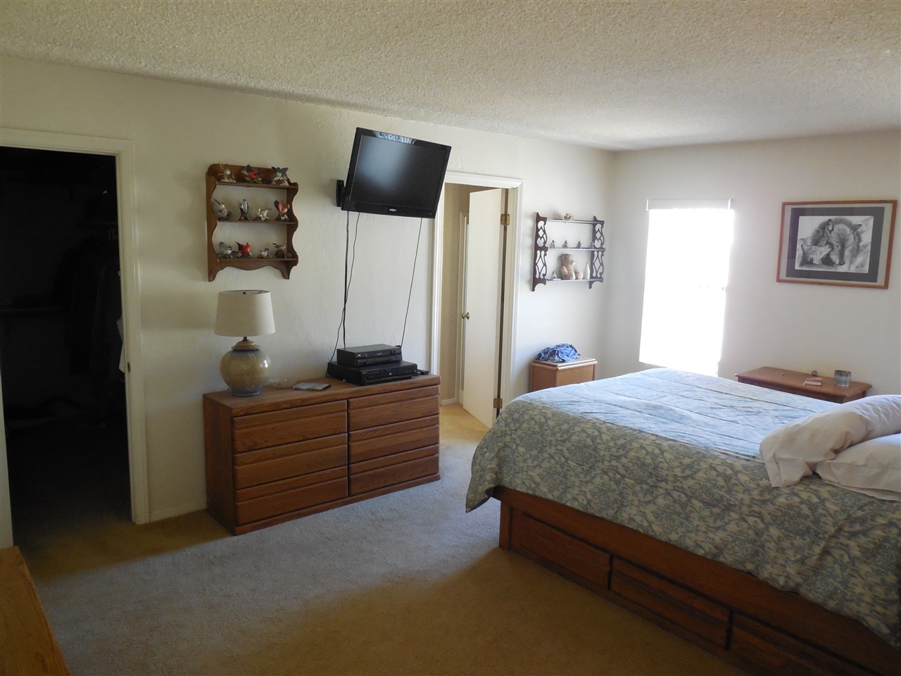 1315 Far Valley Road Campo, CA 91906 - Photo 17 of 23