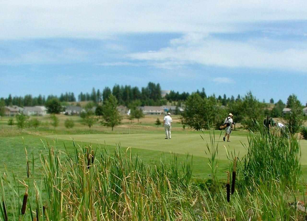 7807 South Fruitvale Road, Unit WT93 Cheney, WA 99004 - Photo 15 of 15