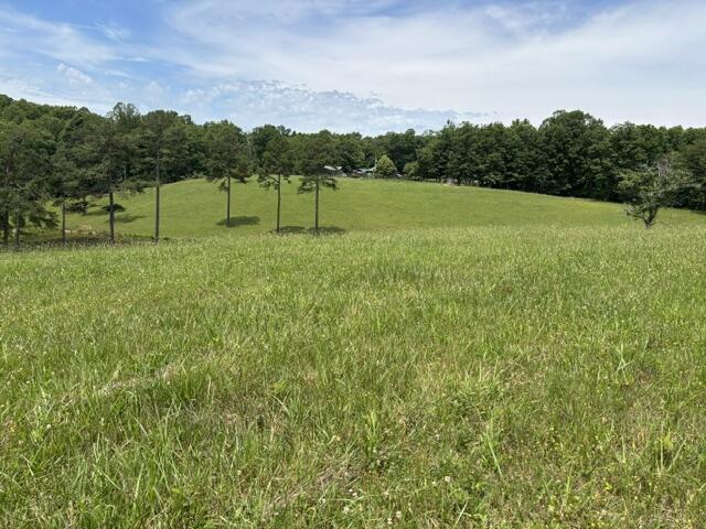 1398 Begley Road South McKee, KY 40447 - Photo 11 of 12 11