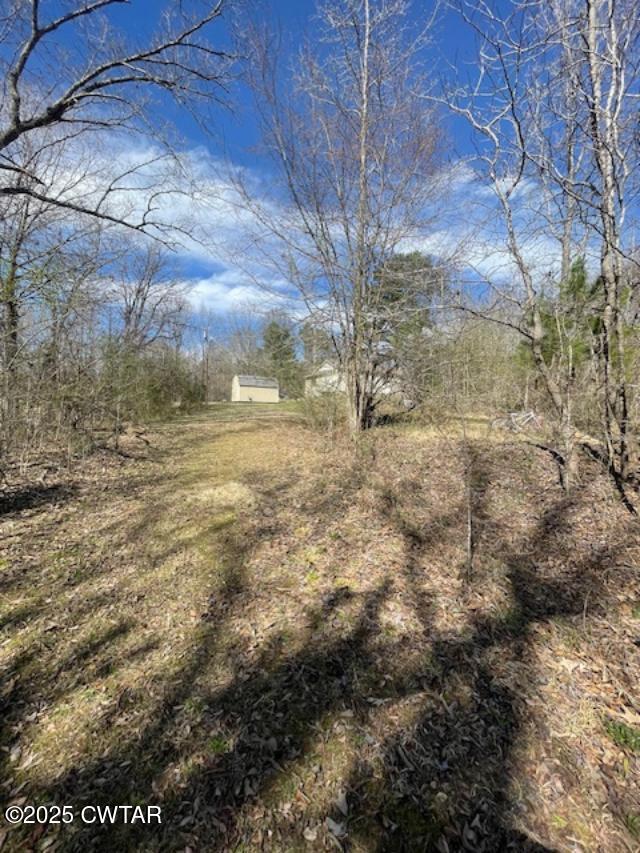 411 Obrien Road Cedar Grove, TN 38321 - Photo 11 of 29 10