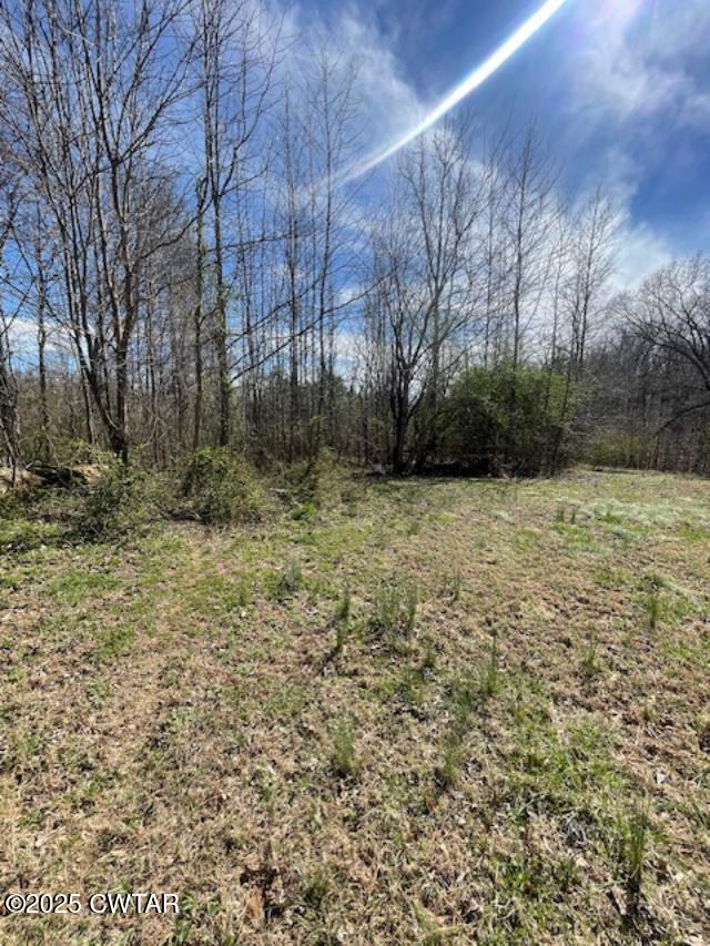 411 Obrien Road Cedar Grove, TN 38321 - Photo 24 of 29 22