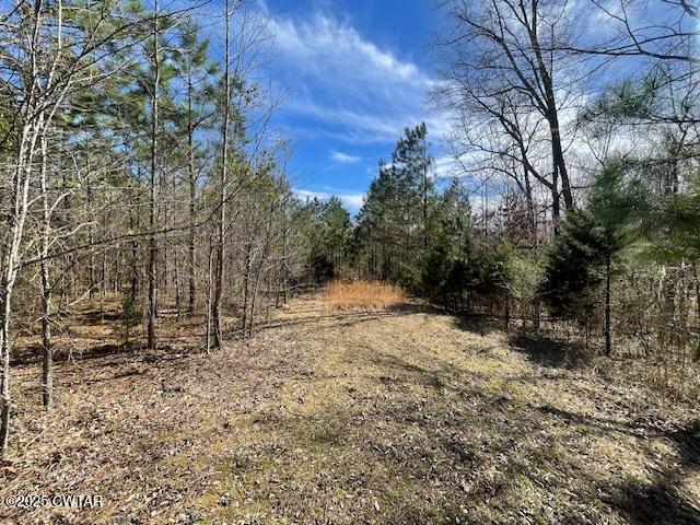 411 Obrien Road Cedar Grove, TN 38321 - Photo 25 of 29 23