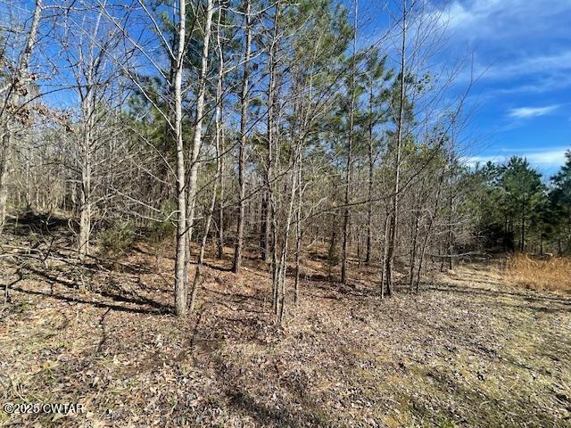 411 Obrien Road Cedar Grove, TN 38321 - Photo 26 of 29 24