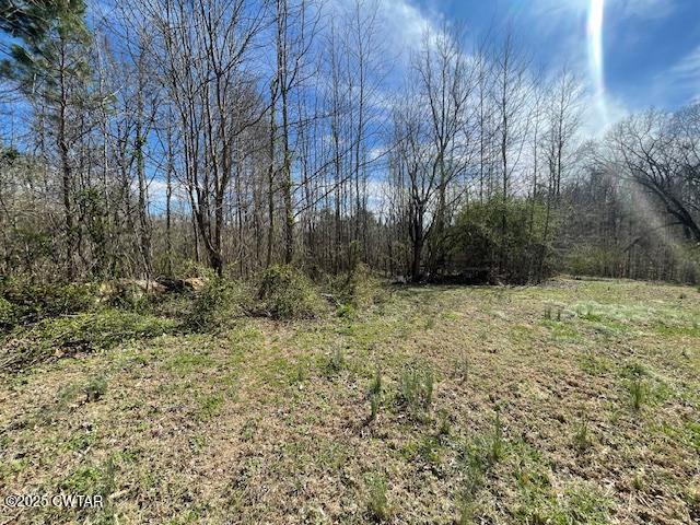 411 Obrien Road Cedar Grove, TN 38321 - Photo 8 of 29 7