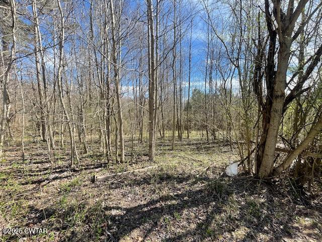 411 Obrien Road Cedar Grove, TN 38321 - Photo 9 of 29 8