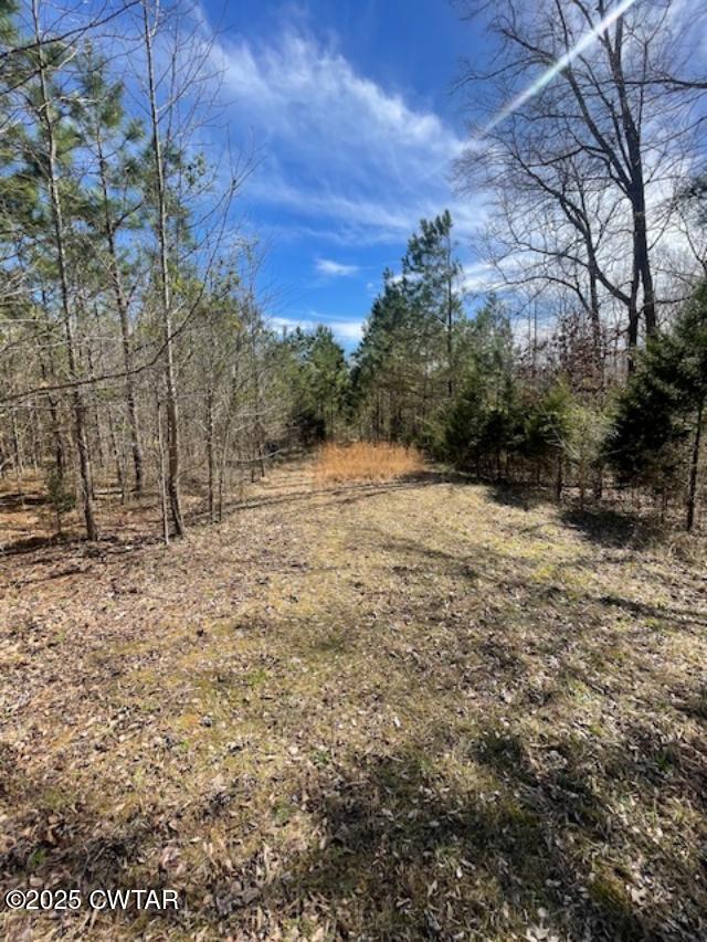 411 Obrien Road Cedar Grove, TN 38321 - Photo 10 of 29 9