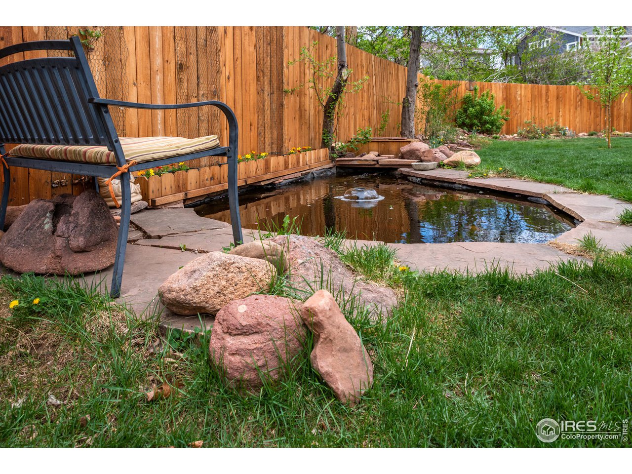 1255 Albion Road Boulder, CO 80305 - Photo 35 of 40 Rear yard with pond