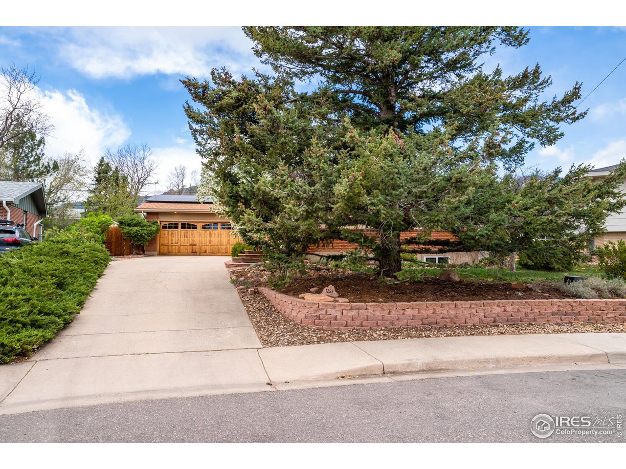 1255 Albion Road Boulder, CO 80305 - Photo 4 of 40 Mature landscaping
