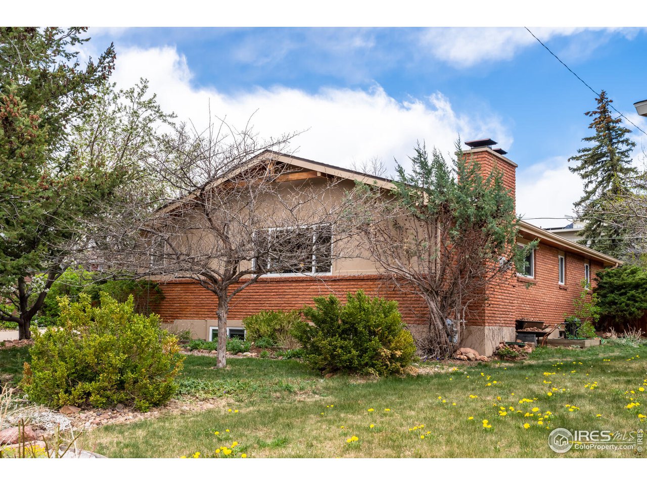 1255 Albion Road Boulder, CO 80305 - Photo 6 of 40 Rear yard