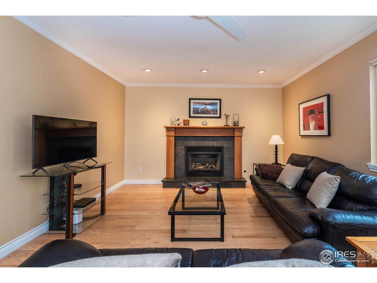 1255 Albion Road Boulder, CO 80305 - Photo 9 of 40 Living room with gas fireplace