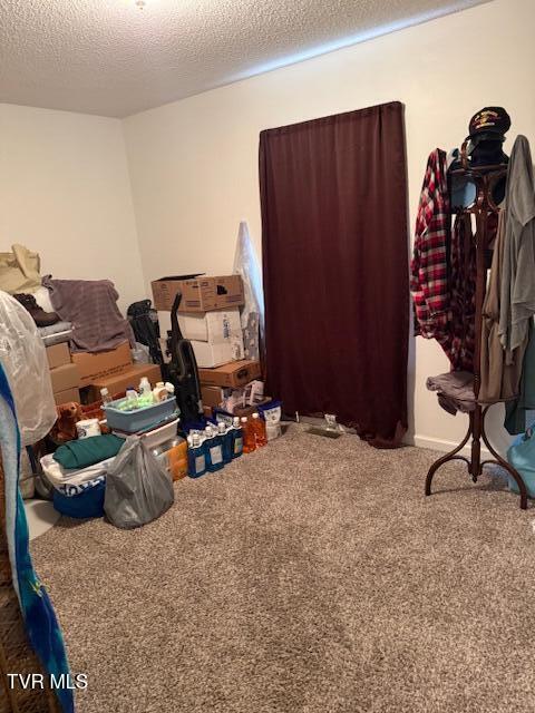 165 Smith Avenue Erwin, TN 37650 - Photo 18 of 33 IMG_5948