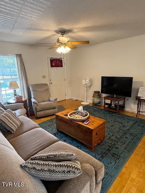 165 Smith Avenue Erwin, TN 37650 - Photo 2 of 33 IMG_5932