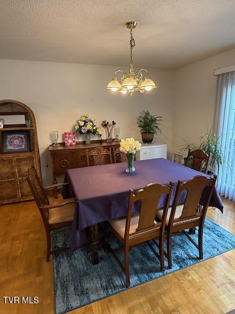 165 Smith Avenue Erwin, TN 37650 - Photo 6 of 33 IMG_5936