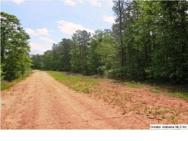 Thomas Lane, Unit 4 Ashland, AL 36251 - Photo 2 of 4