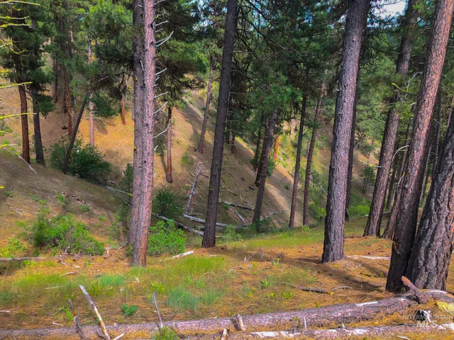 $398,000 | Tbd Meadow Creek Drive, Idaho City, ID 83631