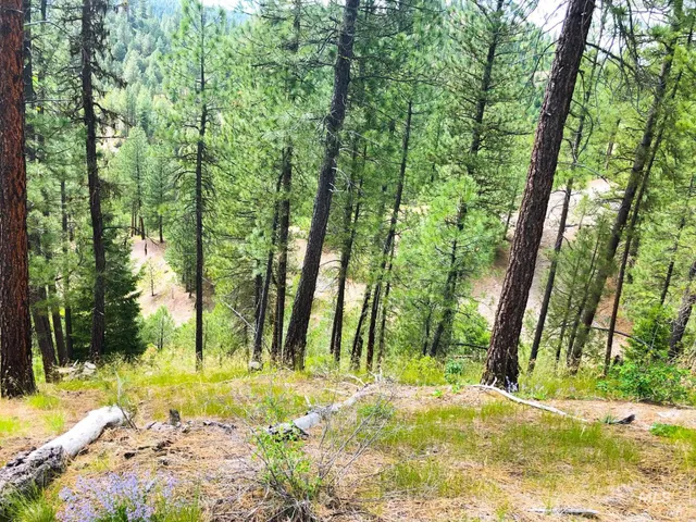 $398,000 | Tbd Meadow Creek Drive, Idaho City, ID 83631