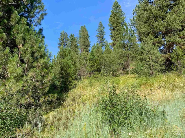 $398,000 | Tbd Meadow Creek Drive, Idaho City, ID 83631