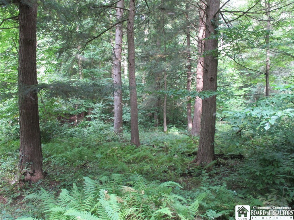 0 Swift Road Angelica, NY 14813 - Photo 1 of 1 Gallery Image 1