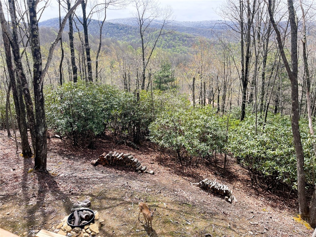 225 Oak Road Beech Mountain, NC 28604 - Photo 34 of 36