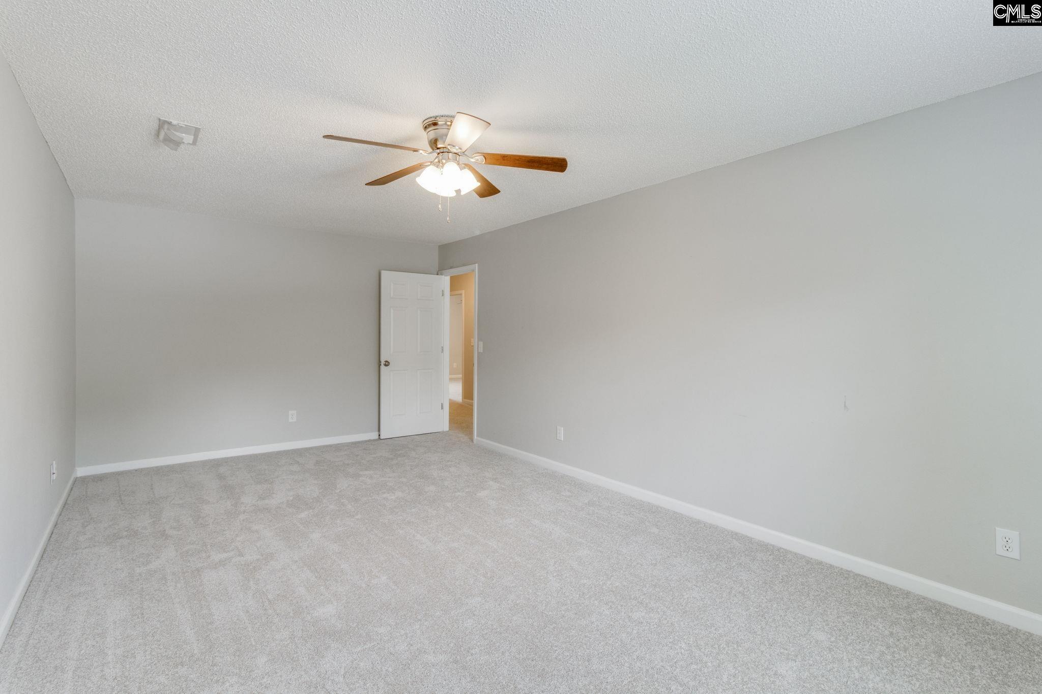5 Redbrush Court Chapin, SC 29036 - Photo 36 of 62