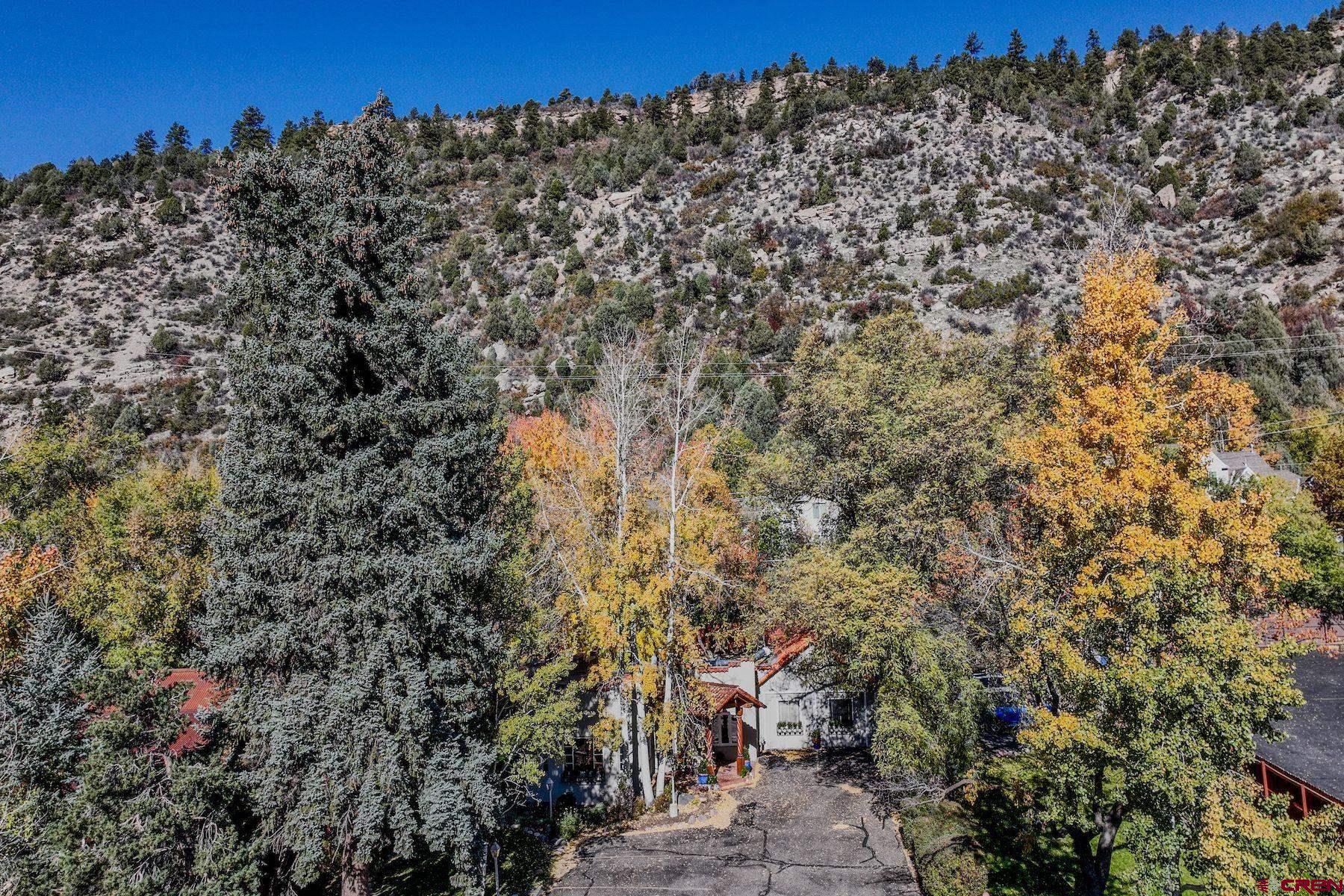 3649 Main Avenue Durango, CO 81301 - Photo 29 of 34 a view of a bunch of trees