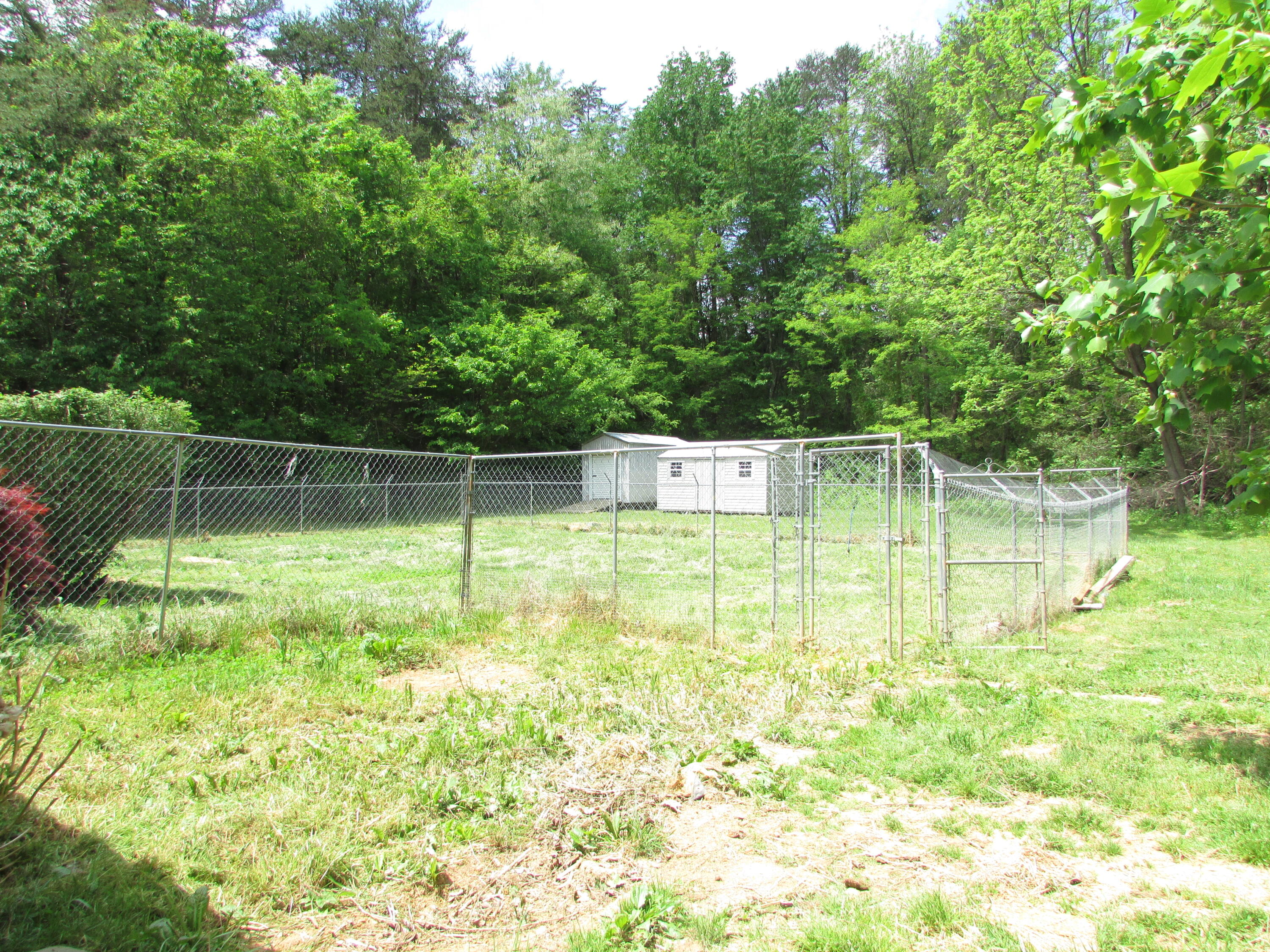 382 Coal Chute Road Elizabethton, TN 37643 - Photo 10 of 40 382 Coal Chute Road, Elizabethton TN 376
