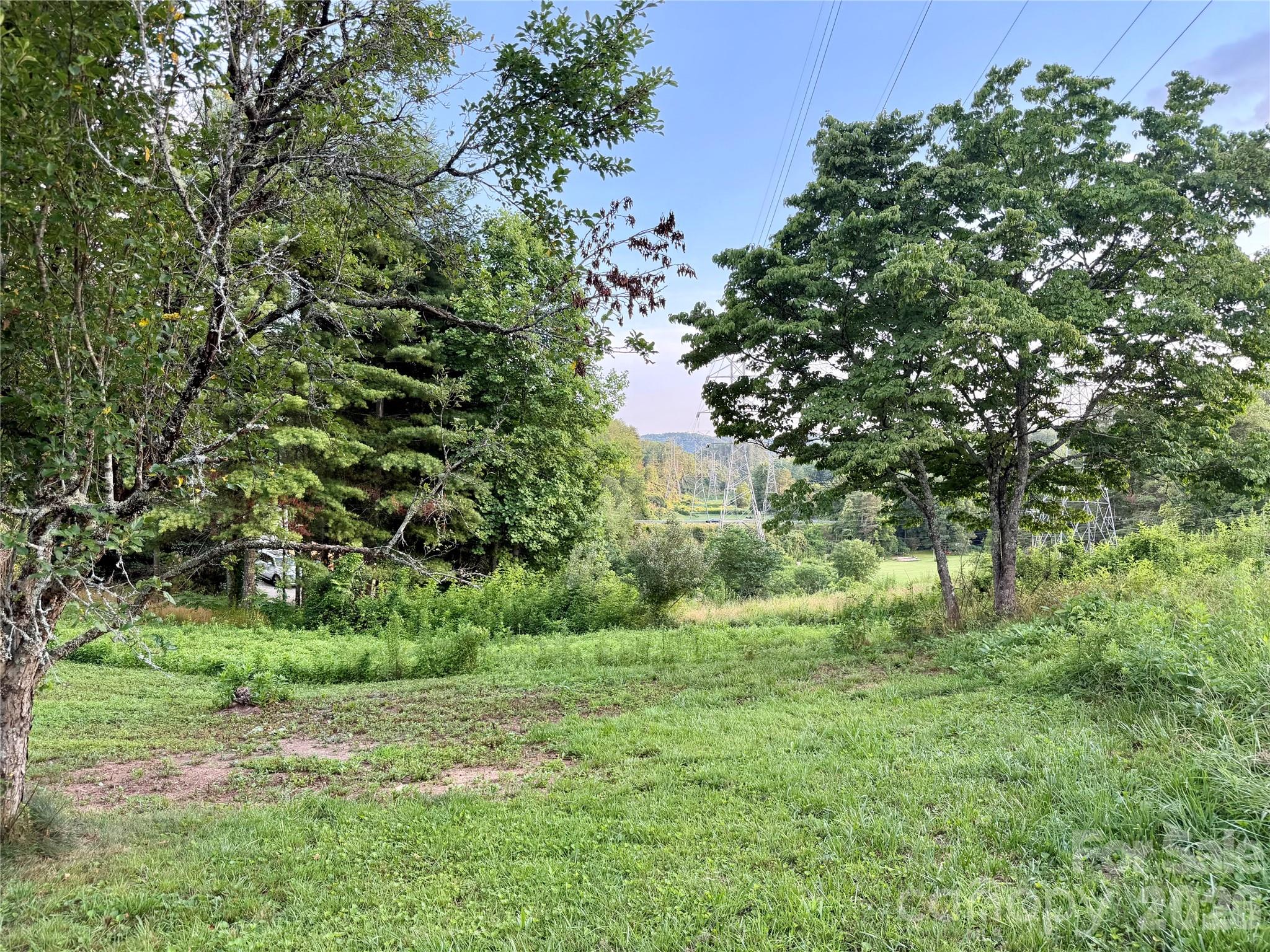 251 Cox Road Pisgah Forest, NC 28768 - Photo 4 of 15